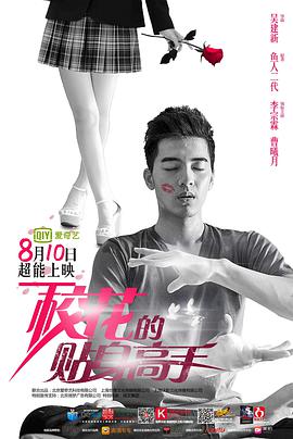 《双面赘婿》电视剧高清全集