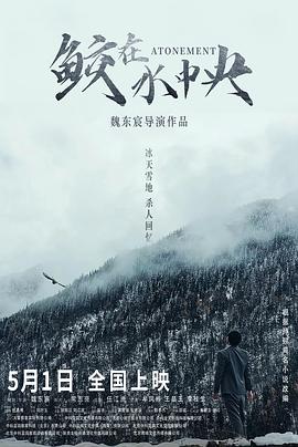 《缄默沉静的镜像》电影高清完整版
