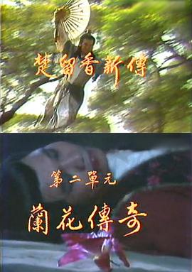 《以法之名》电视剧高清全集