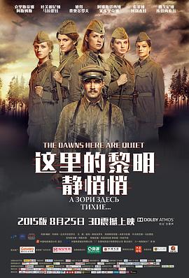《老兵2024》电影高清完整版