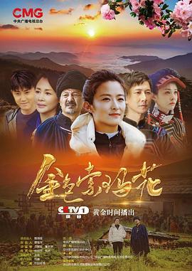 《天意》电视剧高清全集