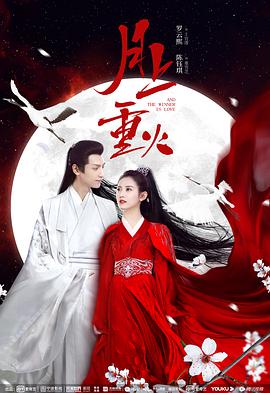 《我的芳华路过你的锦年》电影高清完整版