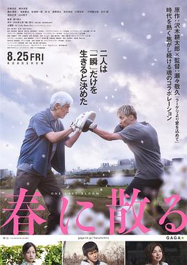 《逾越佛朗明哥》电影高清完整版