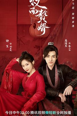 《小提琴家》电影高清完整版