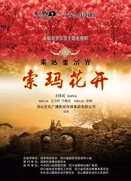 《女怕嫁错郎》电视剧高清全集