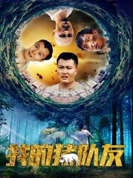 《月里青山淡如画》电视剧高清全集