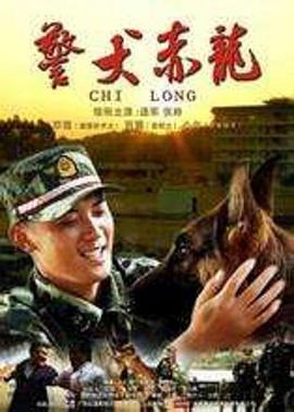 《进击的沐小姐》电视剧高清全集