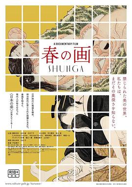 《傻瓜【影视说明】》电影高清完整版
