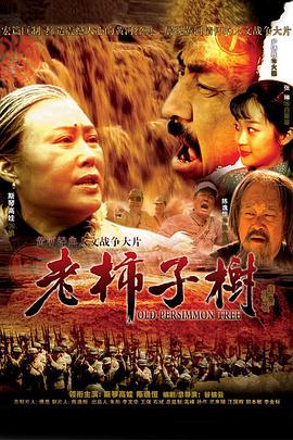 《魔法律事务所第一季》动漫高清全集