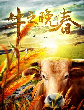 《暴发户决战有钱人里 第二季》电视剧高清全集