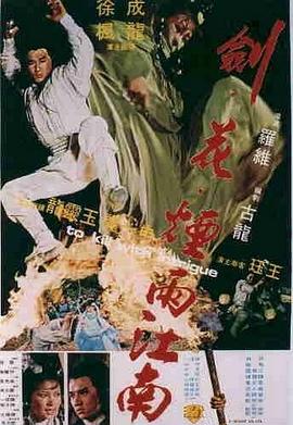 《落叶飞刀》电影高清完整版