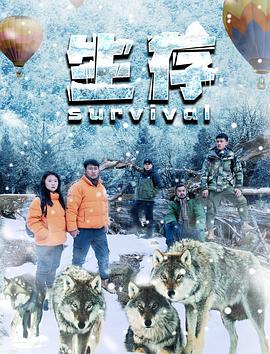 《九王爷的表白》电视剧高清全集