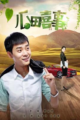《赛小花的远大前程》电视剧高清全集
