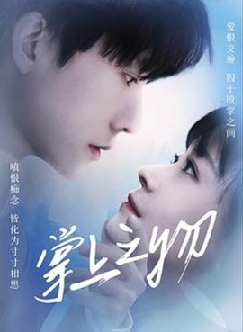 《爱在连理里》电视剧高清全集