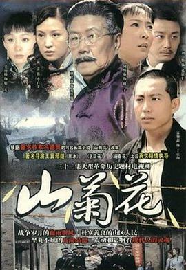 《史酷比：维尔玛的大冒险第一季》动漫高清全集