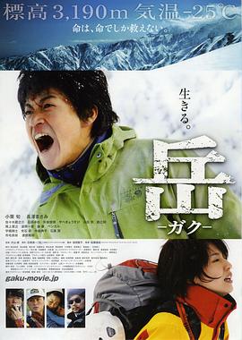 《新闻编辑室第一季》电视剧高清全集