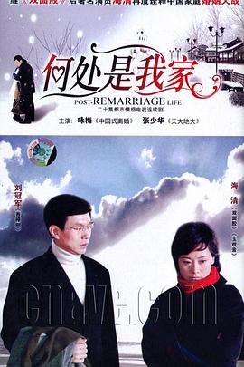 《山河故人》电影高清完整版