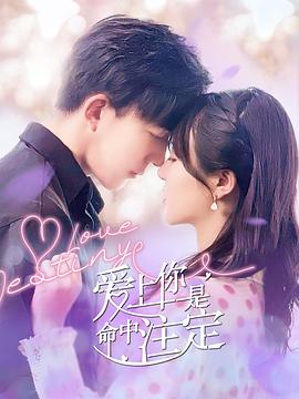 《扬琴手》电影高清完整版