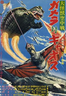 《芳华热潮粤语》电视剧高清全集