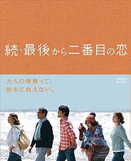《鹰隼大队》电视剧高清全集