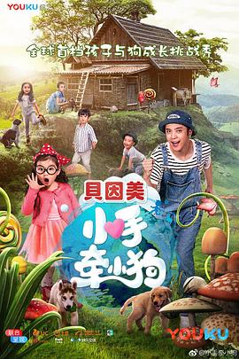 《庇护所》电影高清完整版