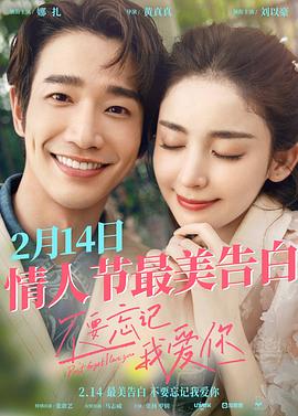 《情爱画廊》电视剧高清全集