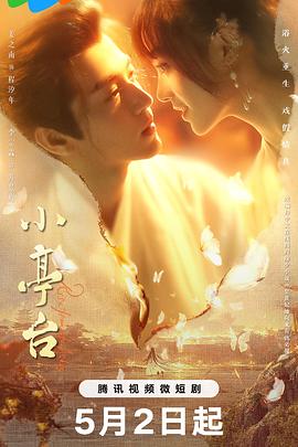 《永久佳人》电影高清完整版