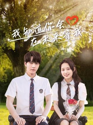 《马达加斯加的企鹅第一季》动漫高清全集