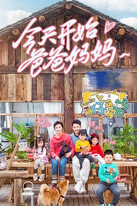 《绿皮书【影视说明】》电影高清完整版