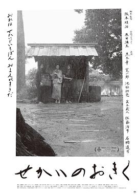 《绿皮书【影视说明】》电影高清完整版