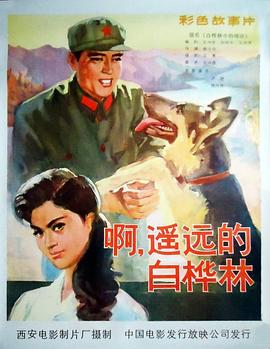 《抹去重来第一季》动漫高清全集