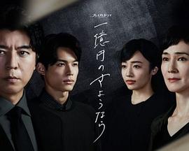 《执到宝粤语》电视剧高清全集