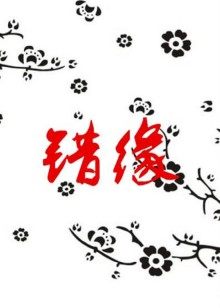 《落日恋人》电影高清完整版