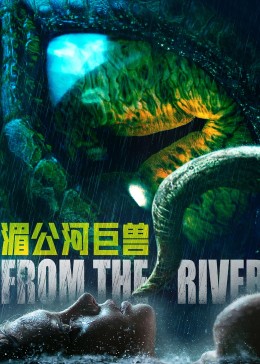 《利特维年科》电视剧高清全集