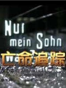 《大红灯笼高高挂》电影高清完整版