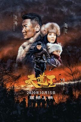 《轰天雷凌振》电影高清完整版