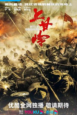 《东野圭吾推理系列》电视剧高清全集