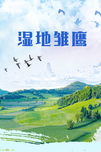 《欧比旺》电视剧高清全集