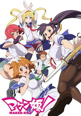 《星蝶公主第四季》动漫高清全集