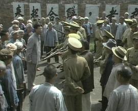 《在异国际取得超强才能的我，在实际国际照样无敌～等级提高改动人生命运～SP》动漫高清全集