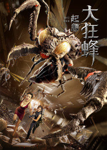 《寻觅金仲旭【影视说明】》电影高清完整版
