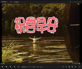 《梦想之爱》电影高清完整版