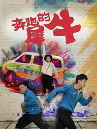 《天雷一部之春花秋月》电视剧高清全集