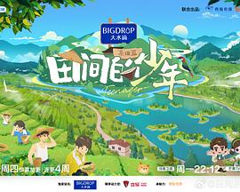 《迷失的兄弟》电影高清完整版