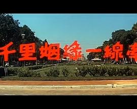 《英勇的复仇敌【影视说明】》电影高清完整版