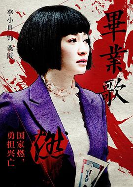 《平原烽烟》电视剧高清全集