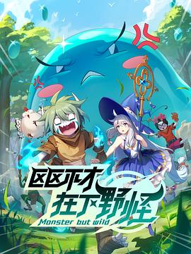 《顶风的芳华》电视剧高清全集