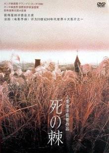 《欲海潮4》电影高清完整版