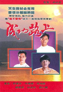《单身汉1999》电影高清完整版