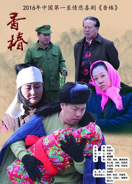 《柳叶摘星斗》电视剧高清全集